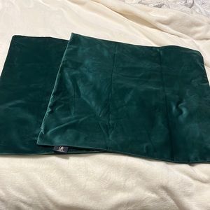 2 velvet pillow covers